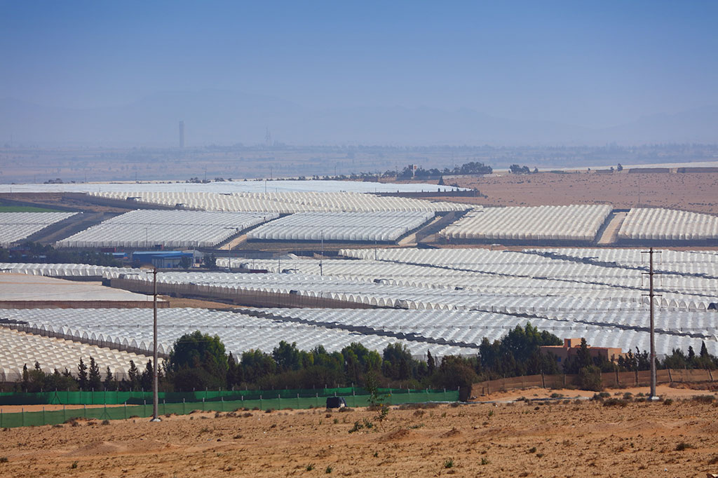 Ghorfa Arab-German Chamber of Commerce and Industry